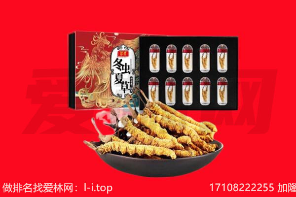 晋中市寿阳回收虫草.jpg